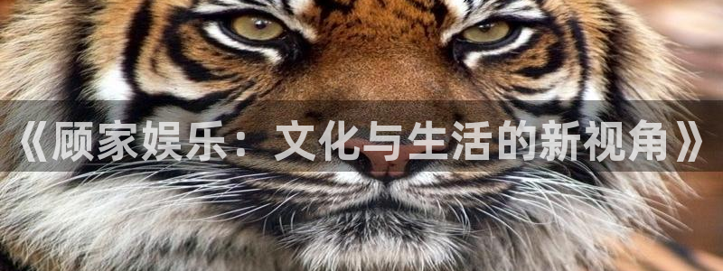 沐鸣2平台主管：《顾家娱乐：文化与生活的新视角》