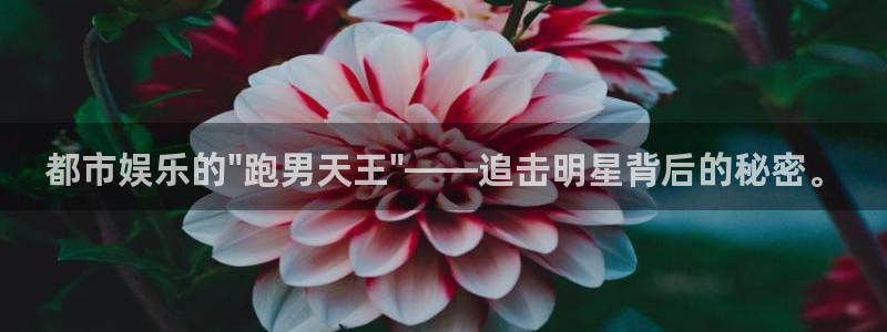 沐鸣2主管