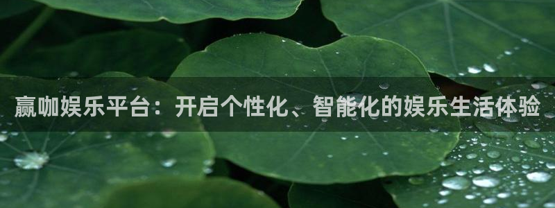 沐鸣2官网：赢咖娱乐平台：开启个性化、智能化的娱乐生活体验