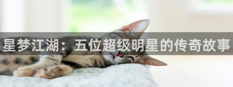 沐鸣代理：星梦江湖：五位超级明星的传奇故事