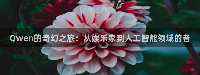 沐鸣2在线登录：Qwen的奇幻之旅：从娱乐家到人工智能领域的者