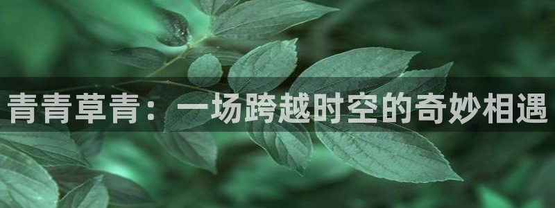 沐鸣2登陆：青青草青：一场跨越时空的奇妙相遇