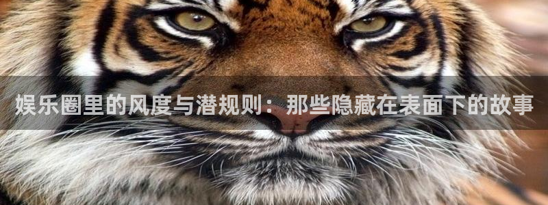 沐鸣2娱乐：娱乐圈里的风度与潜规则：那些隐藏在表面下的故事