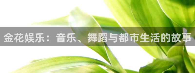 沐鸣3平台：金花娱乐：音乐、舞蹈与都市生活的故事
