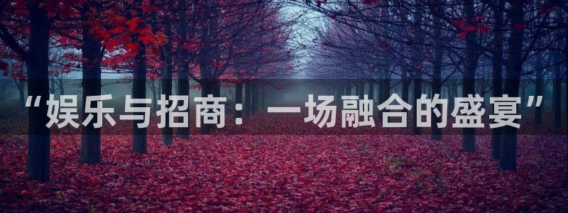 沐鸣2官方登录：“娱乐与招商：一场融合的盛宴”